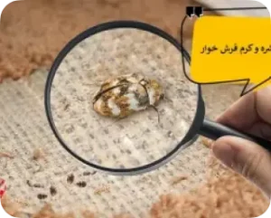ویران کننده ی فرش